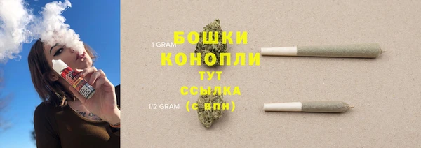 соль ск Горнозаводск
