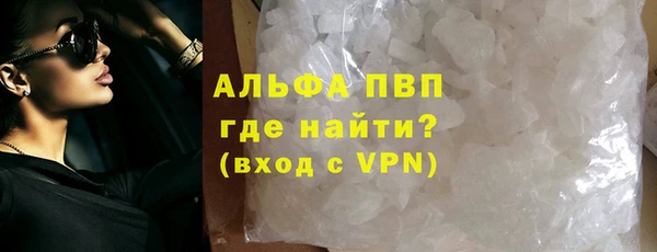 ГАЛЛЮЦИНОГЕННЫЕ ГРИБЫ Горно-Алтайск