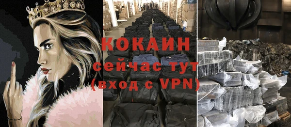ГАЛЛЮЦИНОГЕННЫЕ ГРИБЫ Горно-Алтайск