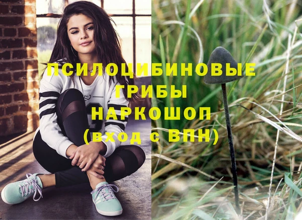 героин Горняк