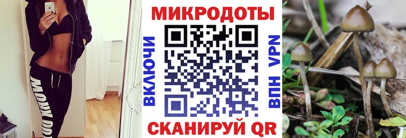Галлюциногенные грибы мицелий  Купить закладки  Могоча 